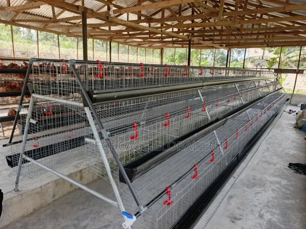 Poultry Battery Cages