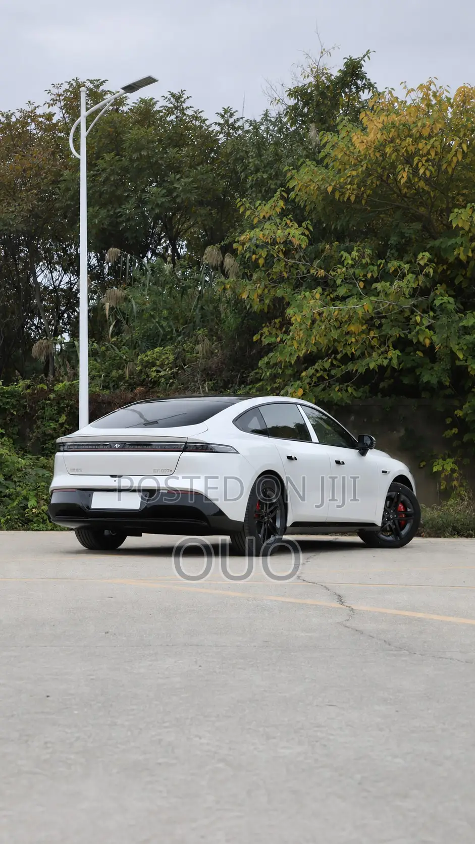 Dongfeng Captain 2025 Gray
