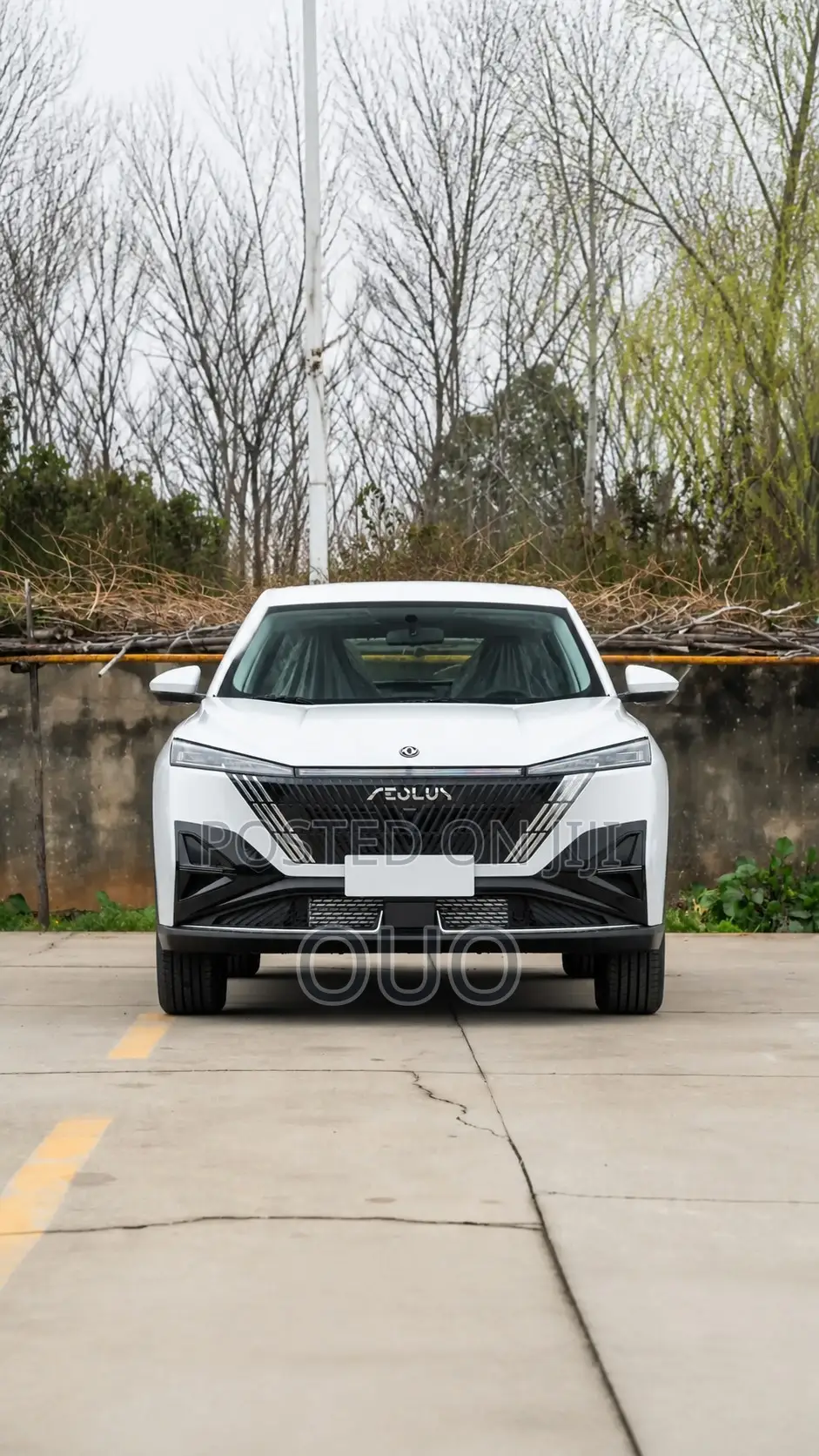 Aeolus Haohan 1.5T Zhishang 2026 White