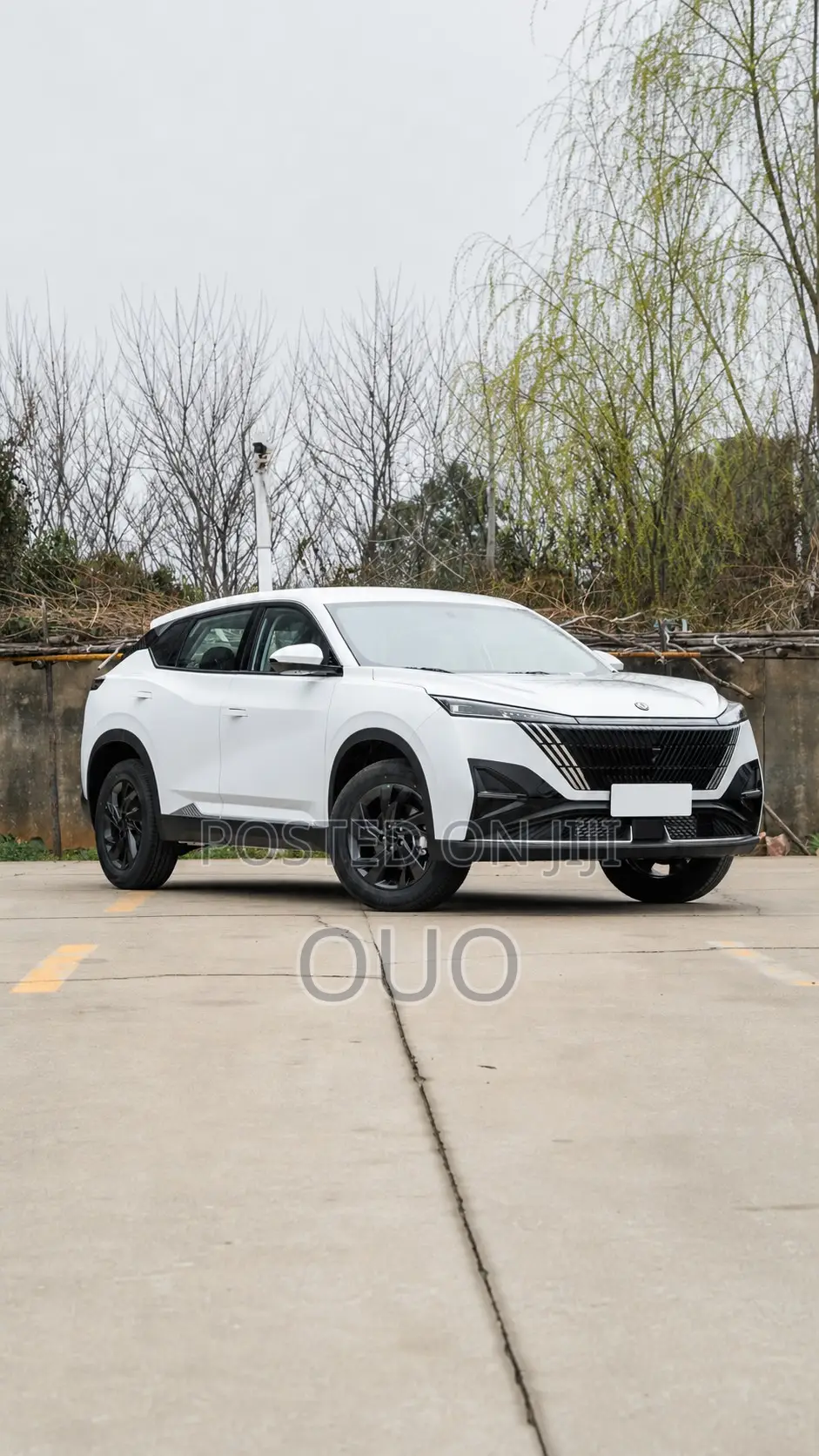 Aeolus Haohan 1.5T Zhishang 2026 White