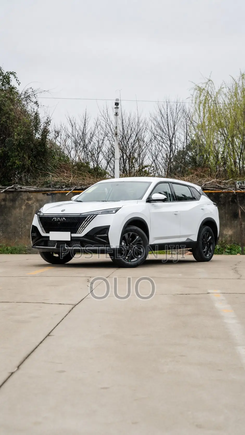 Aeolus Haohan 1.5T Zhishang 2026 White