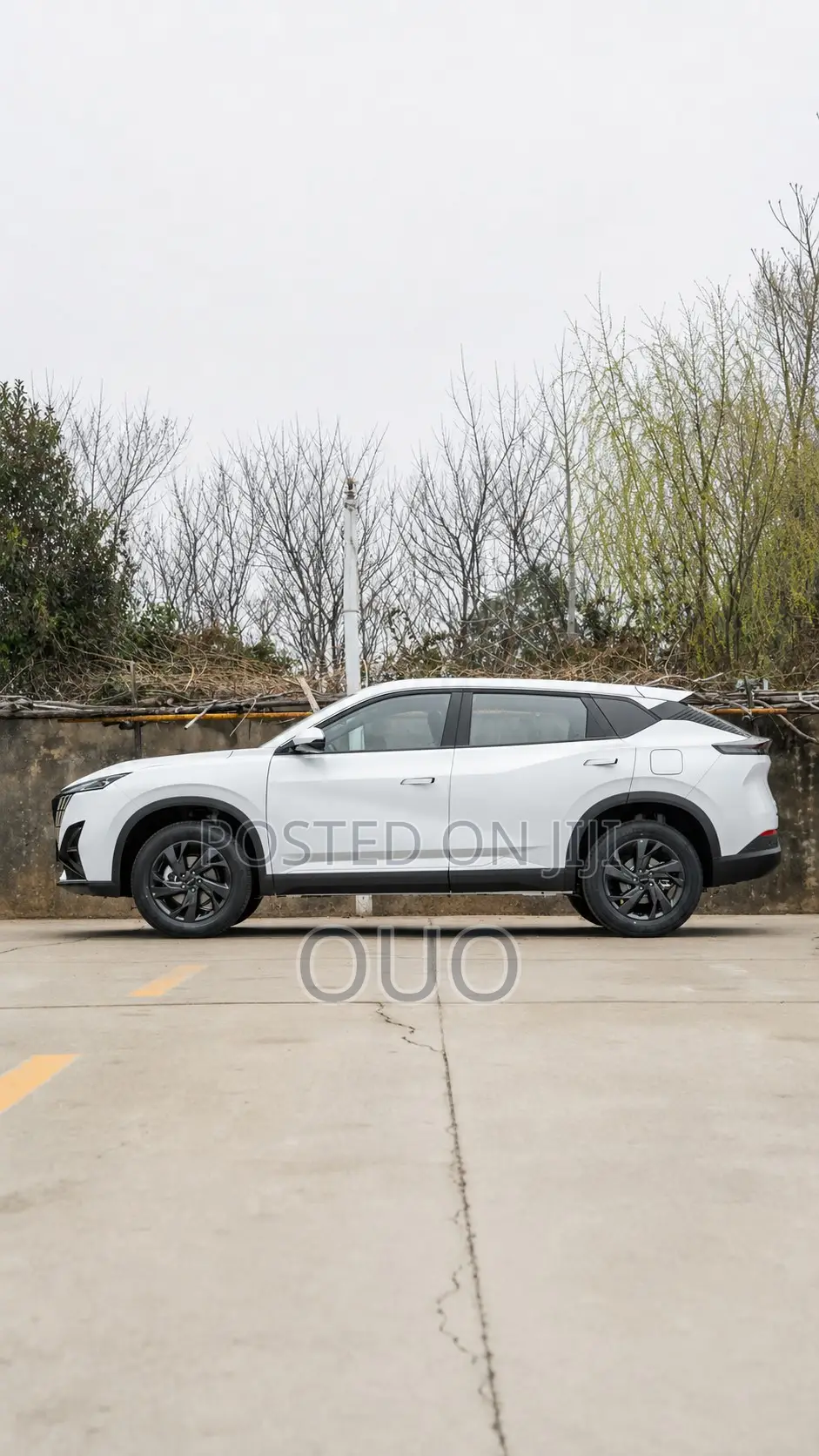 Aeolus Haohan 1.5T Zhishang 2026 White