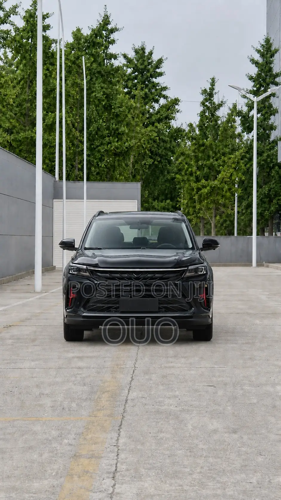 Dongfeng EV EX1 2025 Black