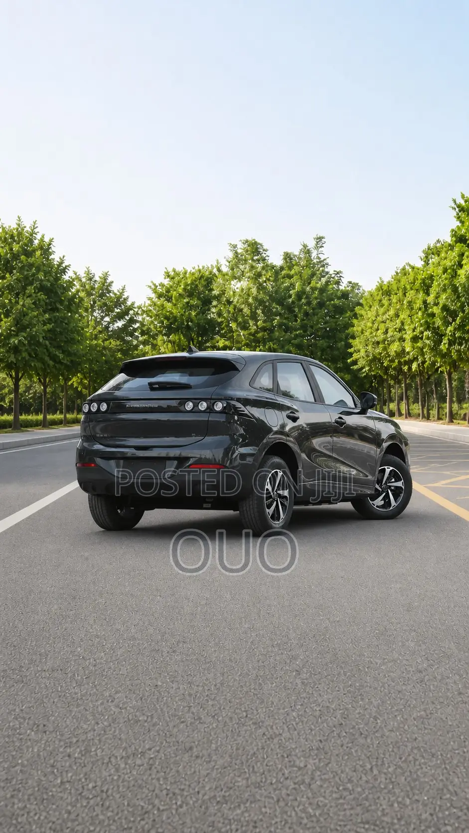 Forthing Leiting 2024 Black