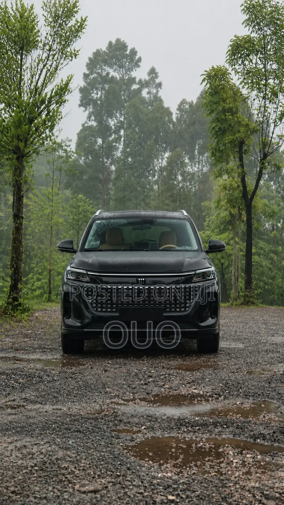 Dongfeng Yipai 008 2025 Black