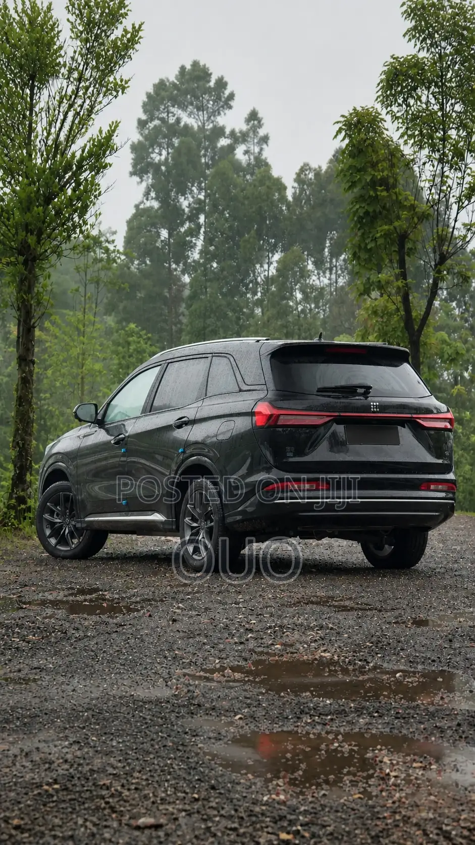 Dongfeng Yipai 008 2025 Black