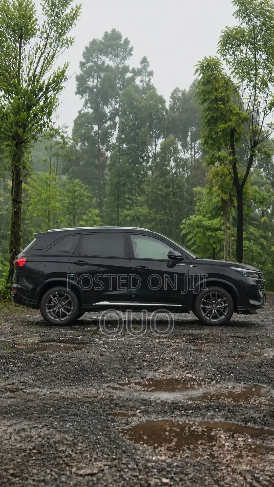 Dongfeng Yipai 008 2025 Black