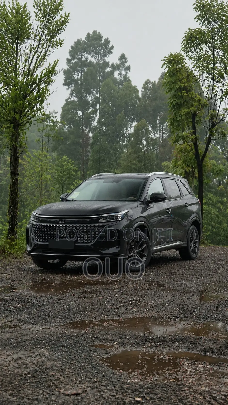 Dongfeng Yipai 008 2025 Black