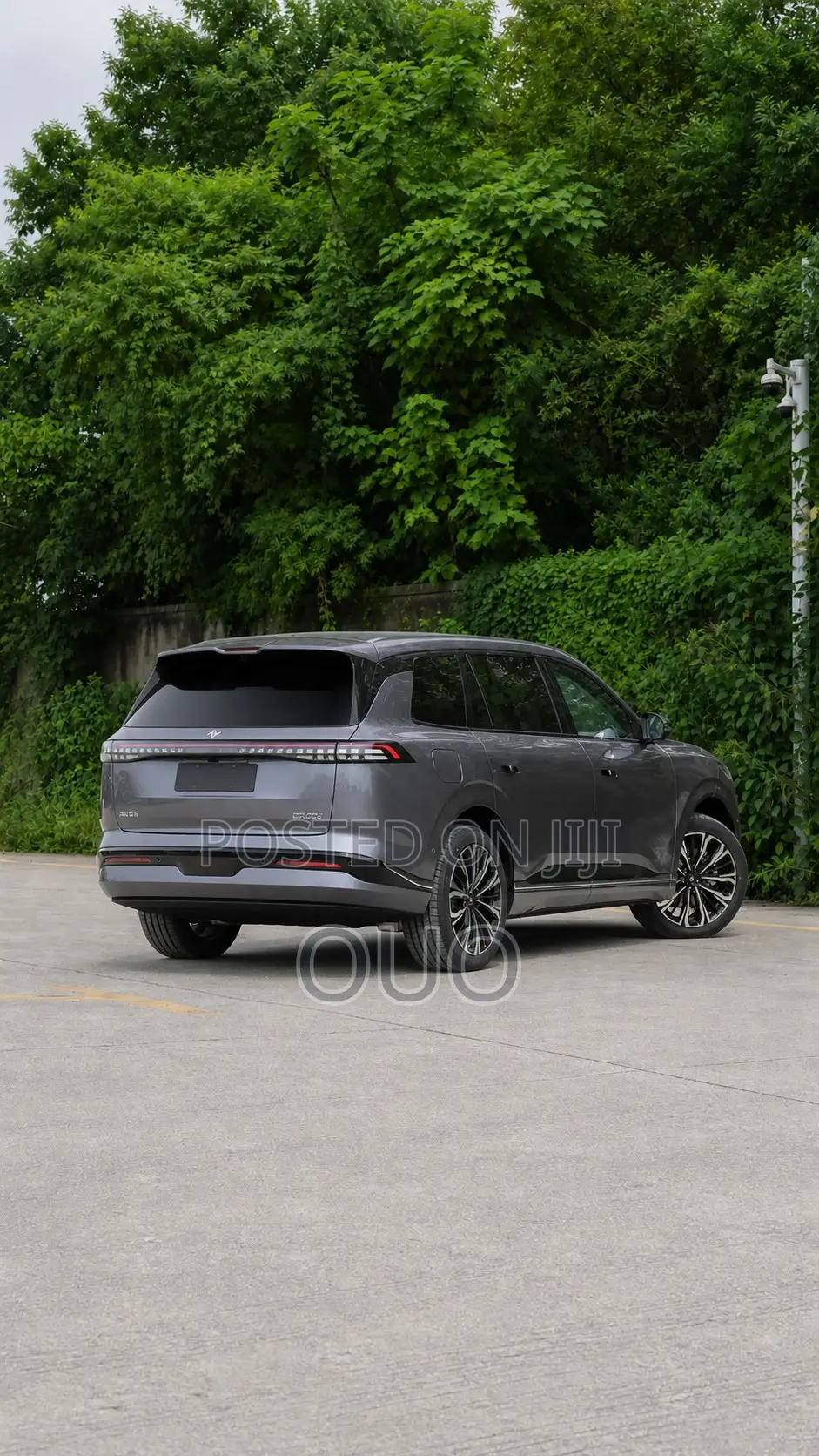 Dongfeng Yipai 008 2025 Gray