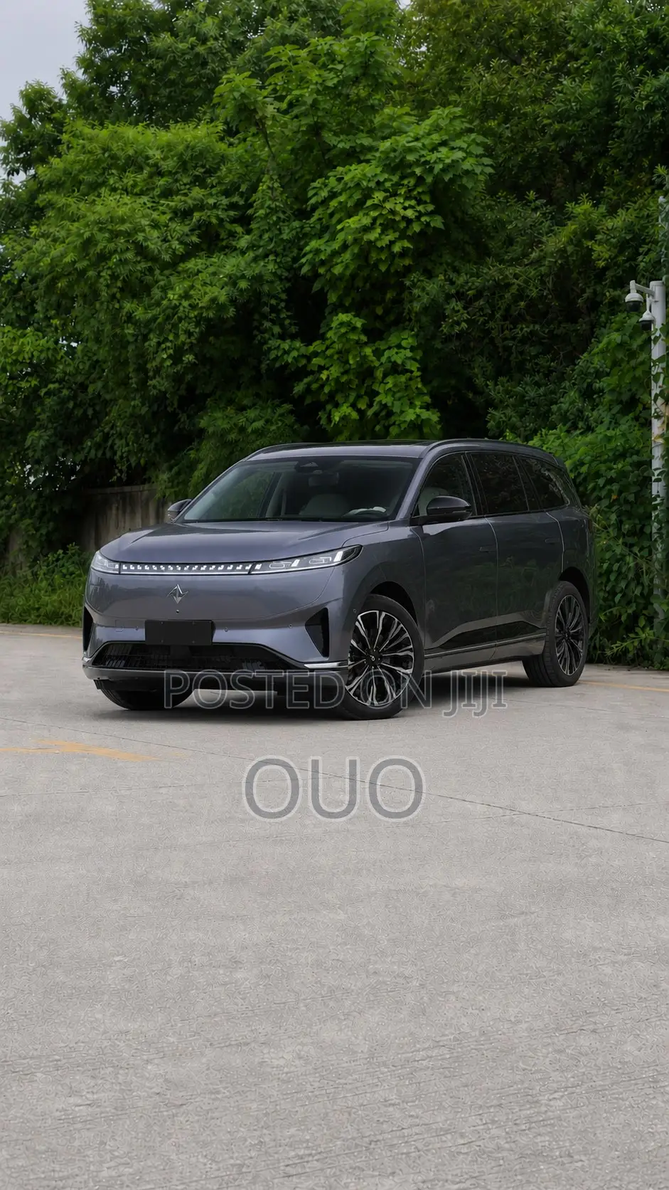 Dongfeng Yipai 008 2025 Gray