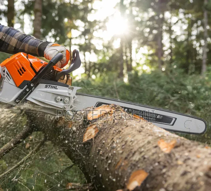 Stihl Chainsaw