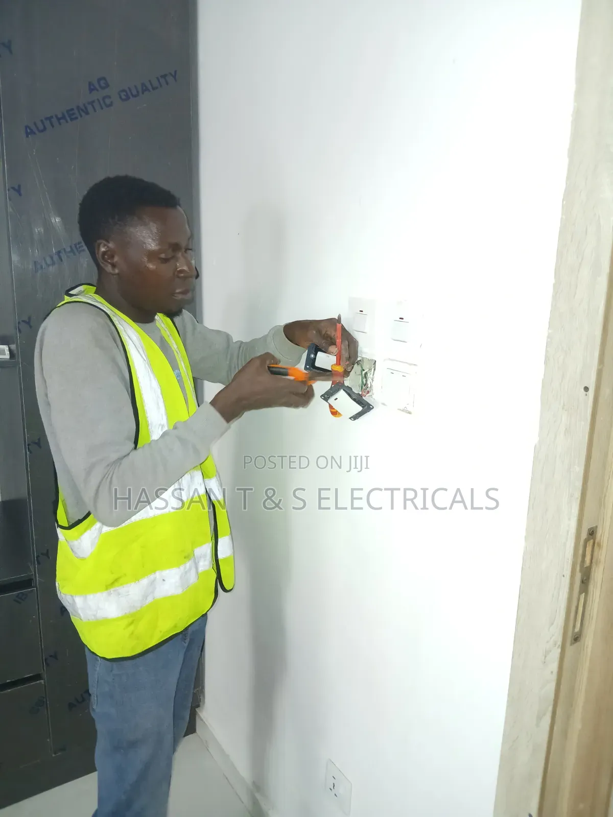 Professional Electrician