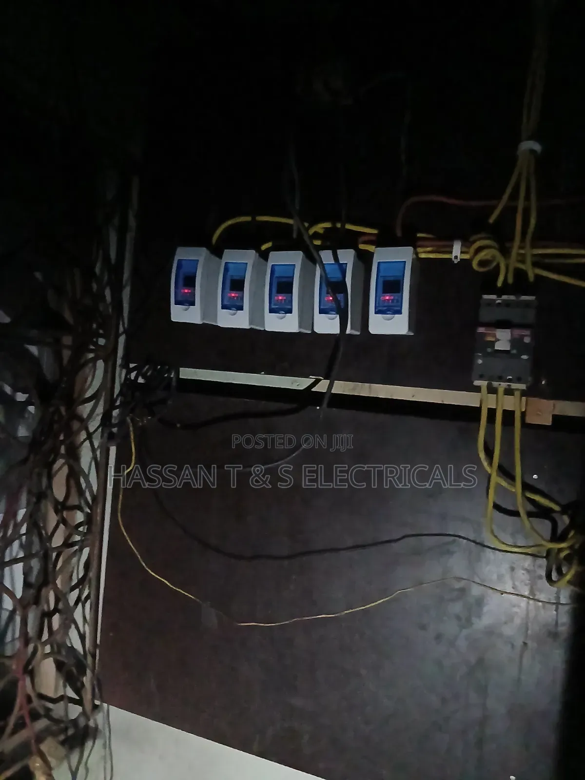Professional Electrician