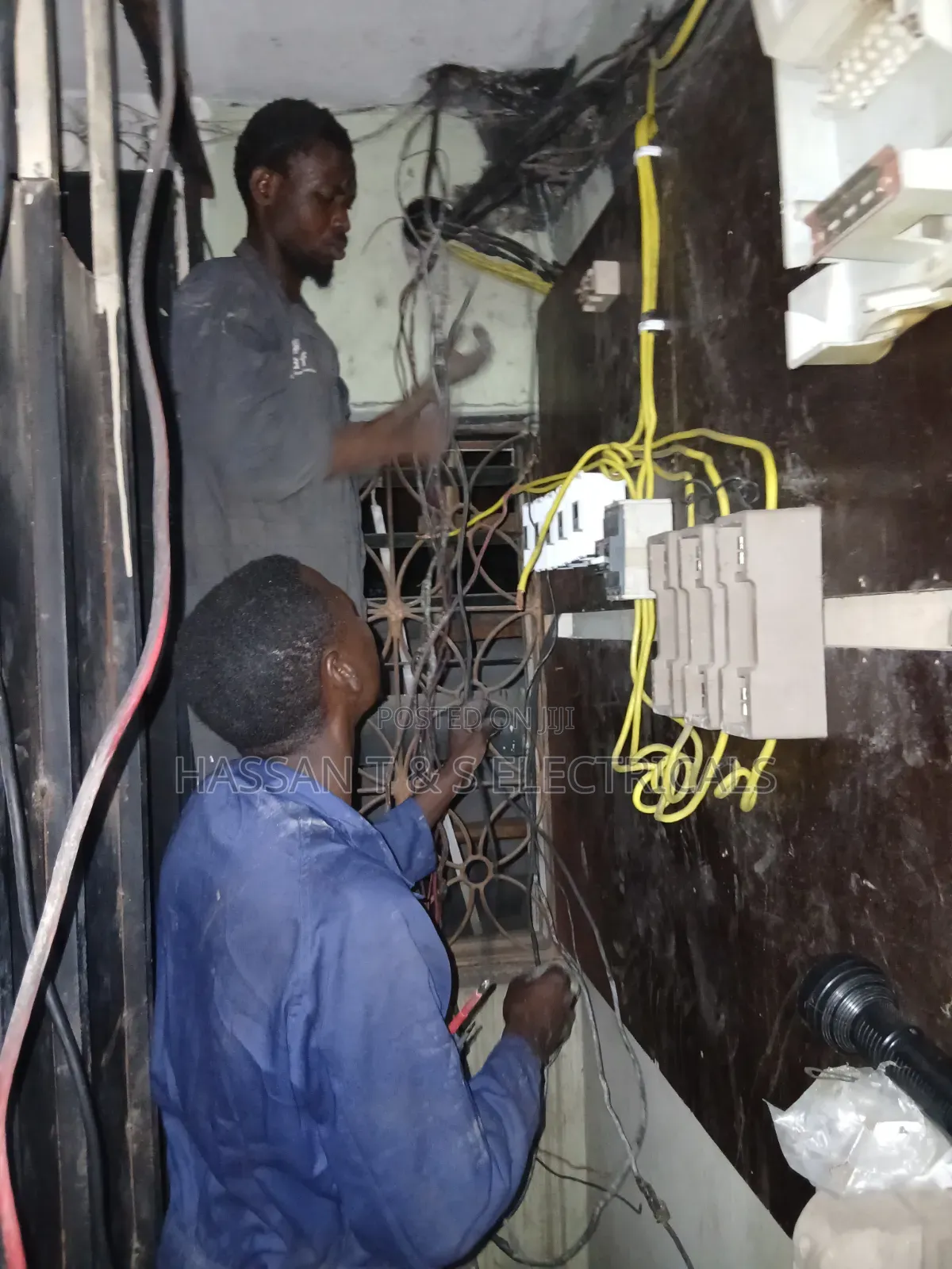 Professional Electrician