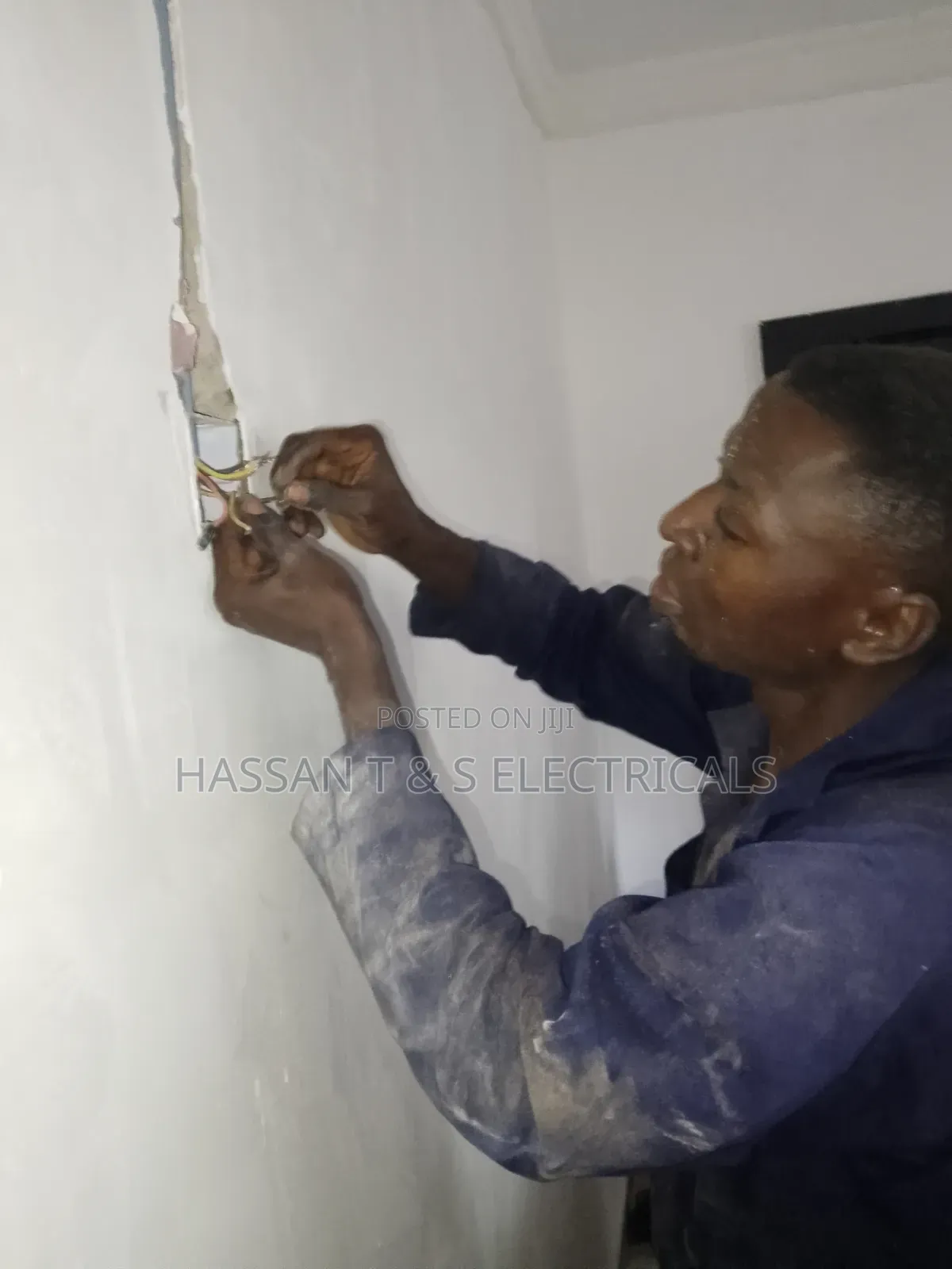 Professional Electrician
