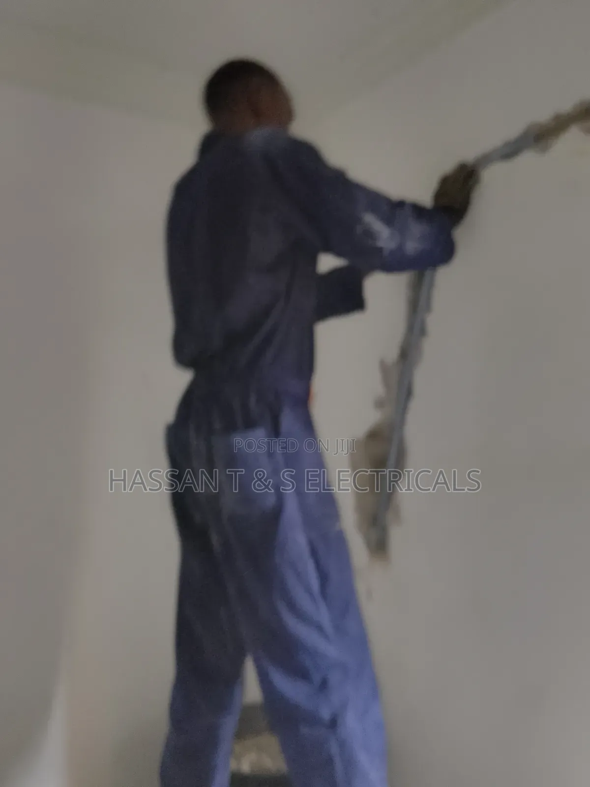 Professional Electrician