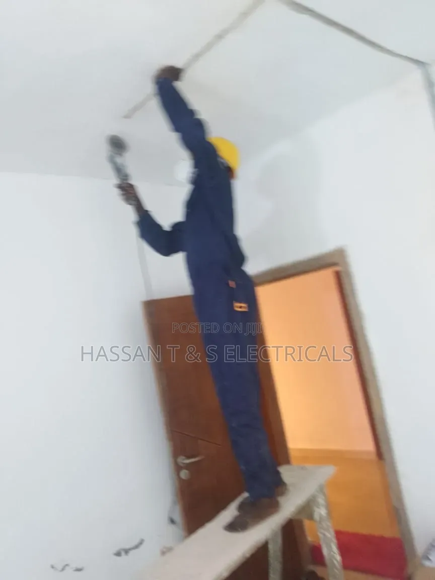 Professional Electrician