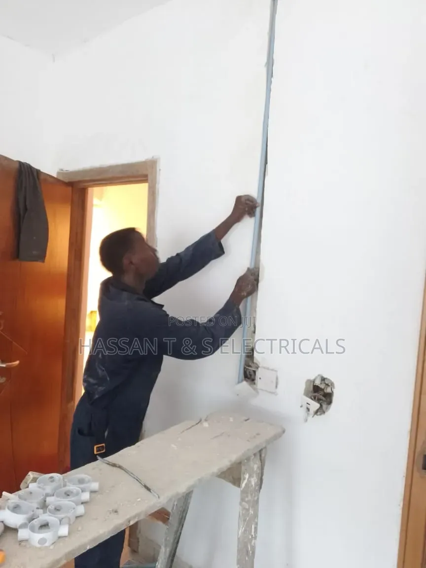 Professional Electrician