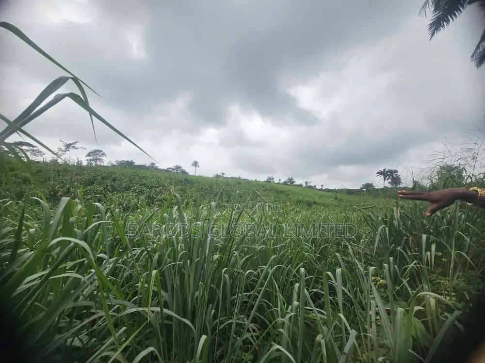 4 Acres of Farmland for Sale