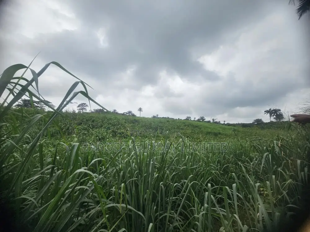 4 Acres of Farmland for Sale