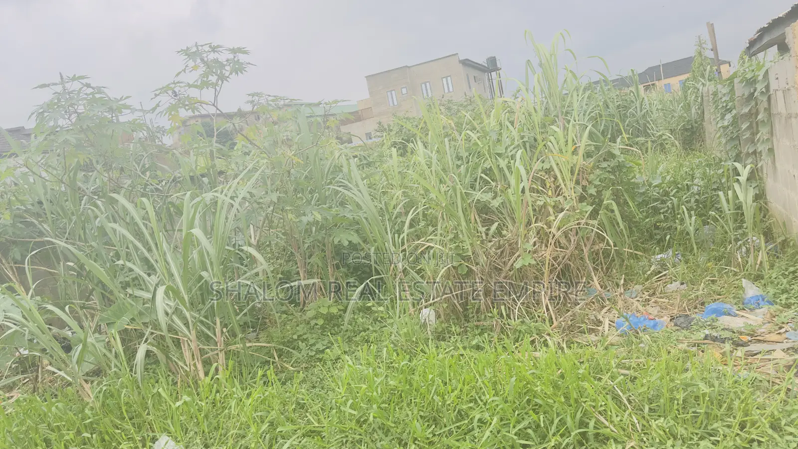 For Sale, a 300 SQM of Land at Adegboyega Olowoora  Going for ₦40M