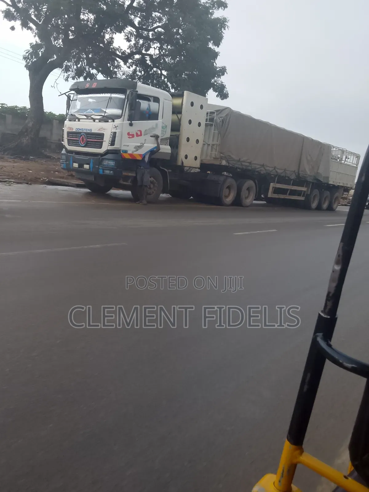 We See Dangote and Bua Cement