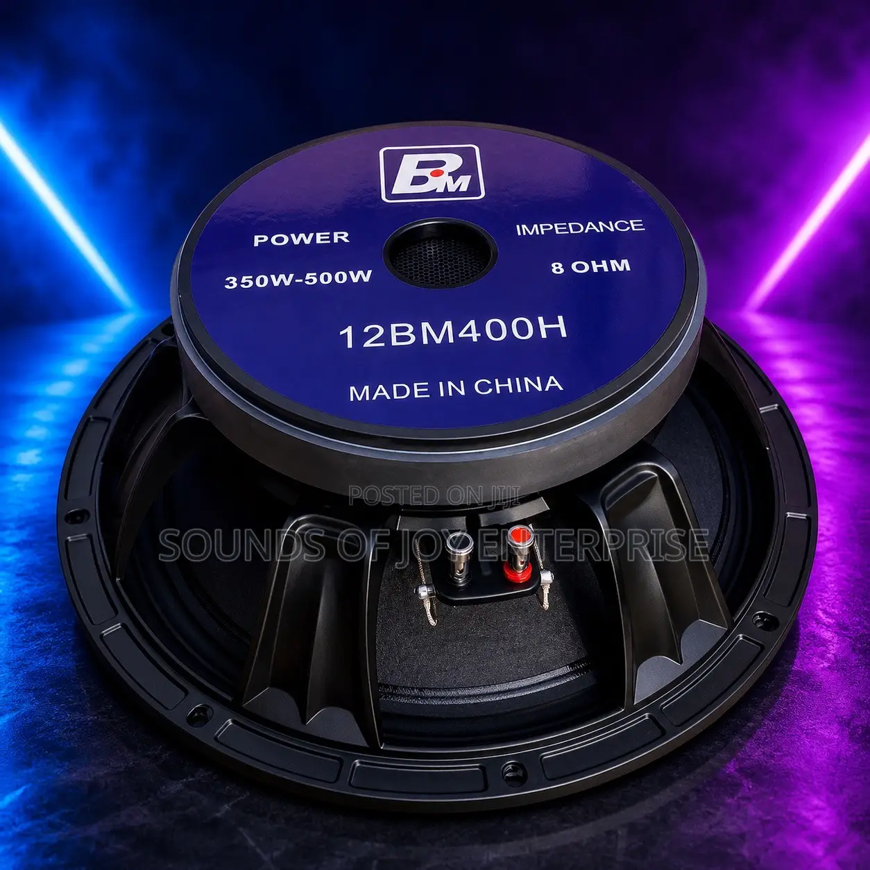 12 Inches Professional BM Naked Speaker