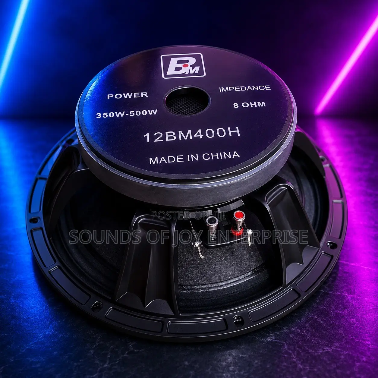 12 Inches Professional BM Naked Speaker