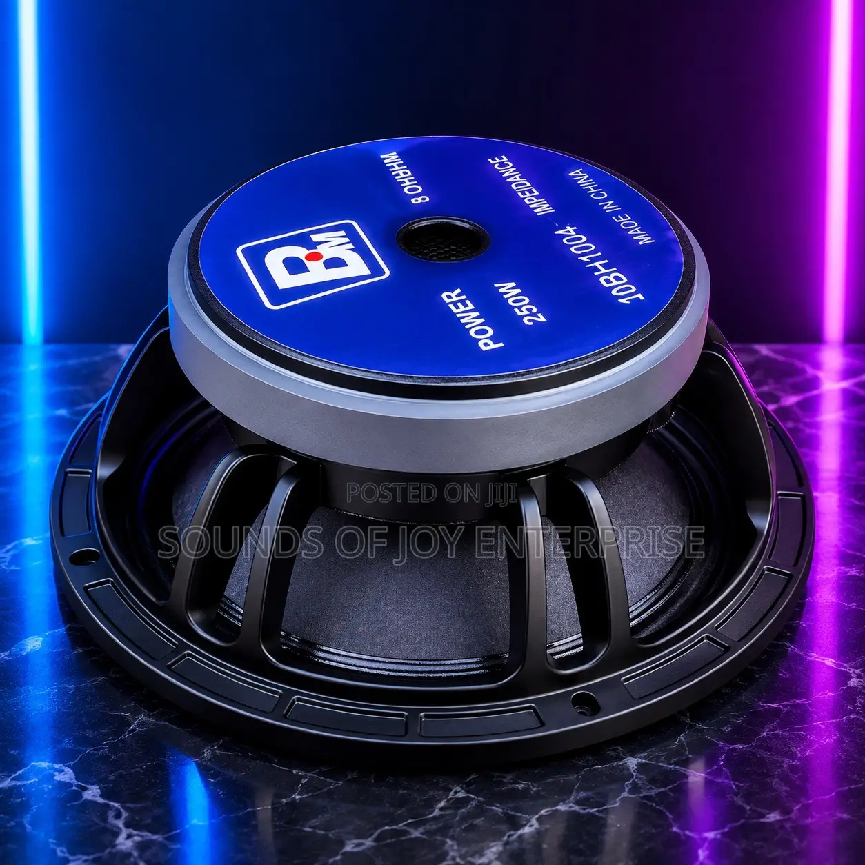 10 Inches Professional BM Naked Speaker