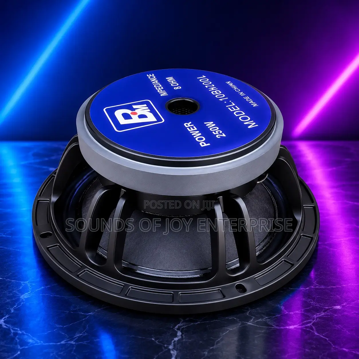 10 Inches Professional BM Naked Speaker