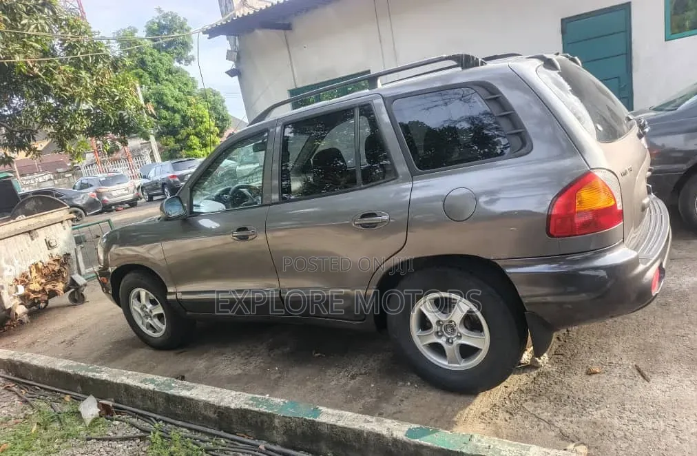Hyundai Santa Fe 2004 Gray
