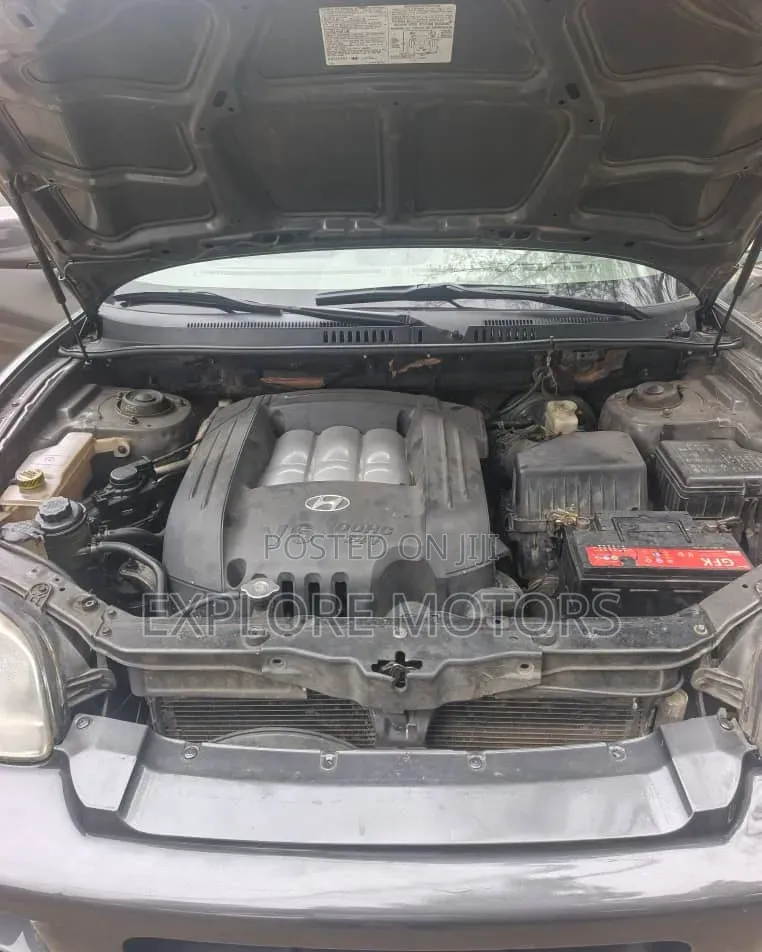 Hyundai Santa Fe 2004 Gray