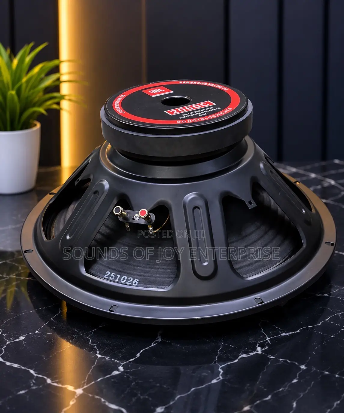 15 Inches JBL Professional Naked Speaker