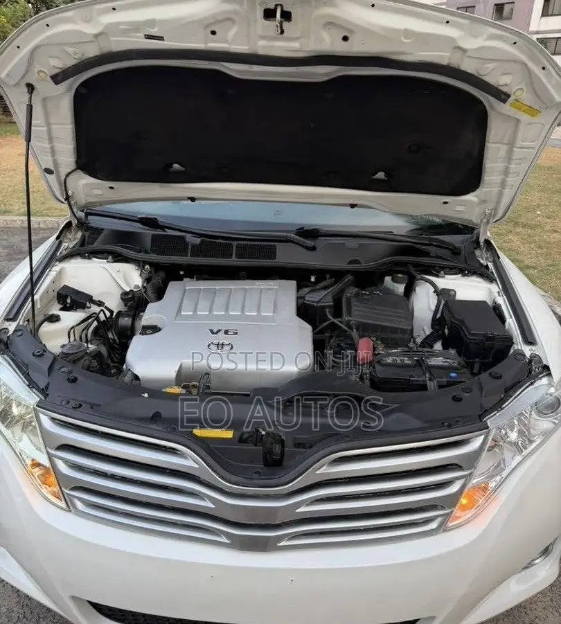 Toyota Venza XLE 2010 White