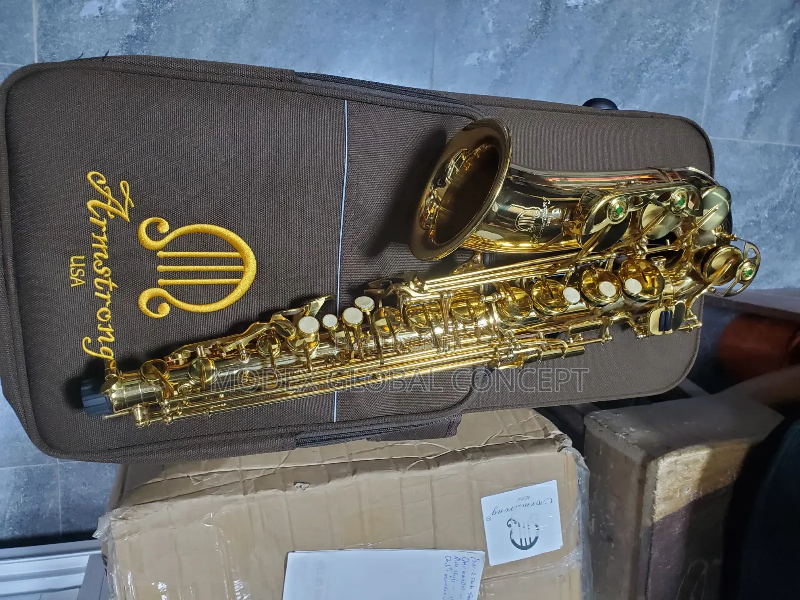 Armstrong Professional Alto Saxophone 🎷