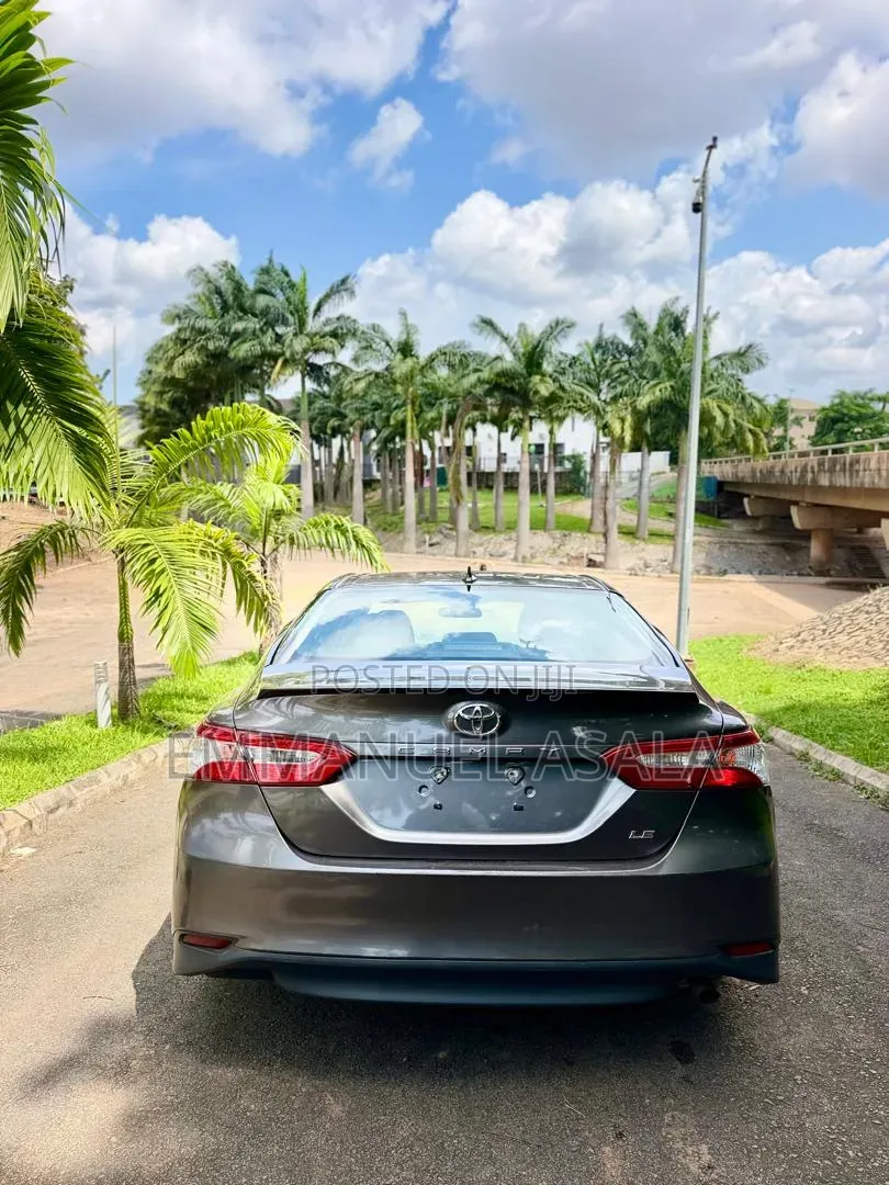 Toyota Camry LE (2.5L 4cyl 8A) 2019 Gray