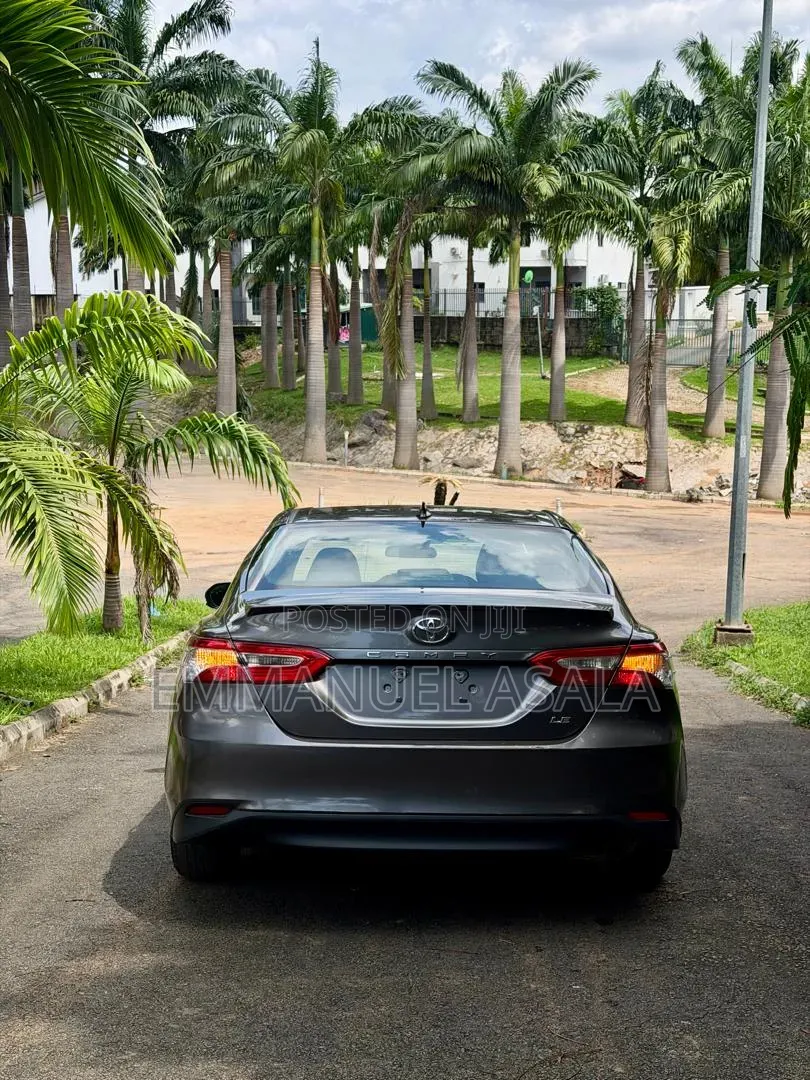 Toyota Camry LE (2.5L 4cyl 8A) 2019 Gray
