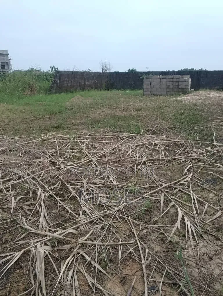 Well Developed Residential Bareland