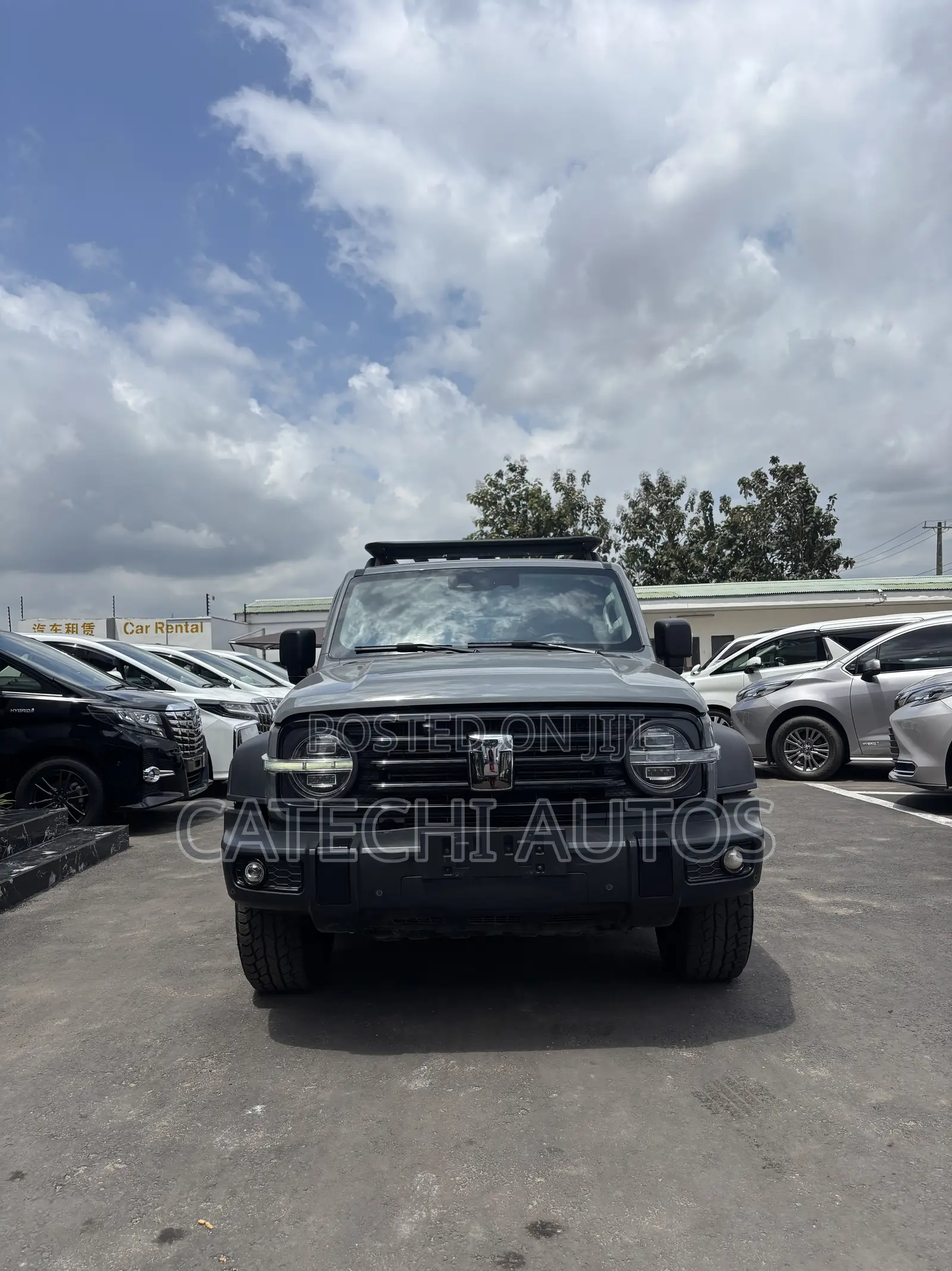 Tank 500 2023 Gray