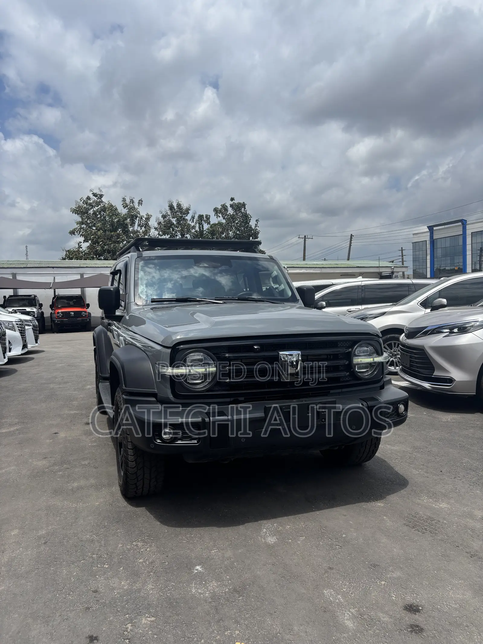 Tank 500 2023 Gray