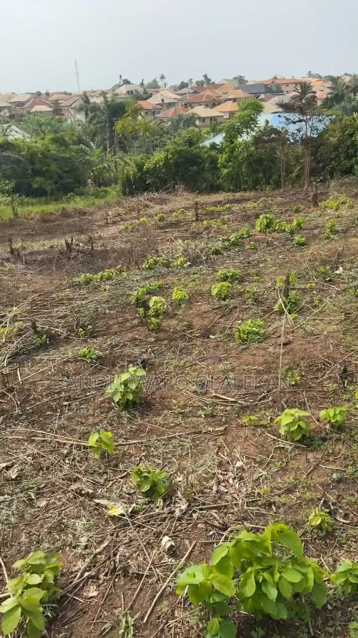 2 Plots of Land for Sale at Ariyibi Apete Ibadan