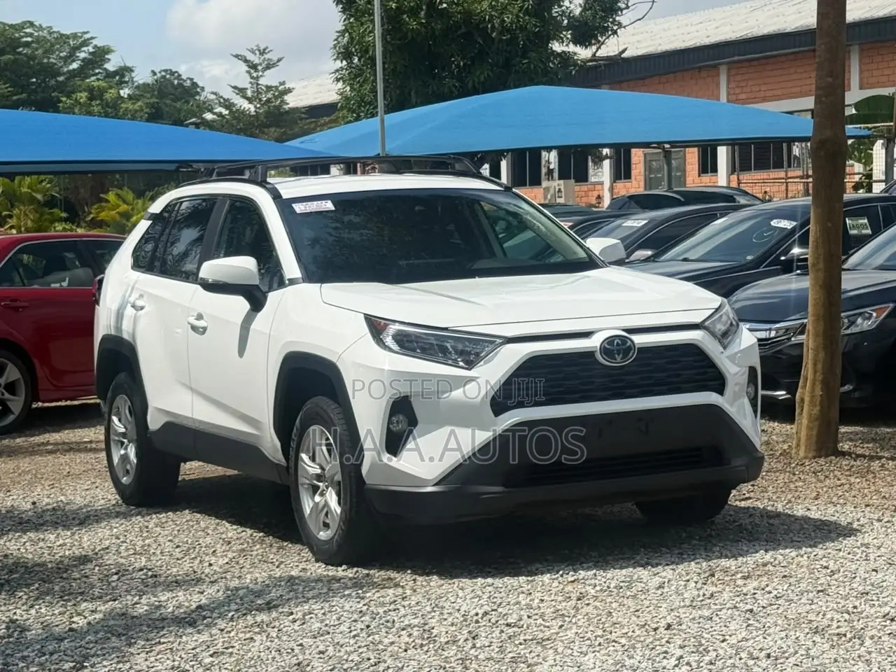Toyota RAV4 XLE AWD 2020 White