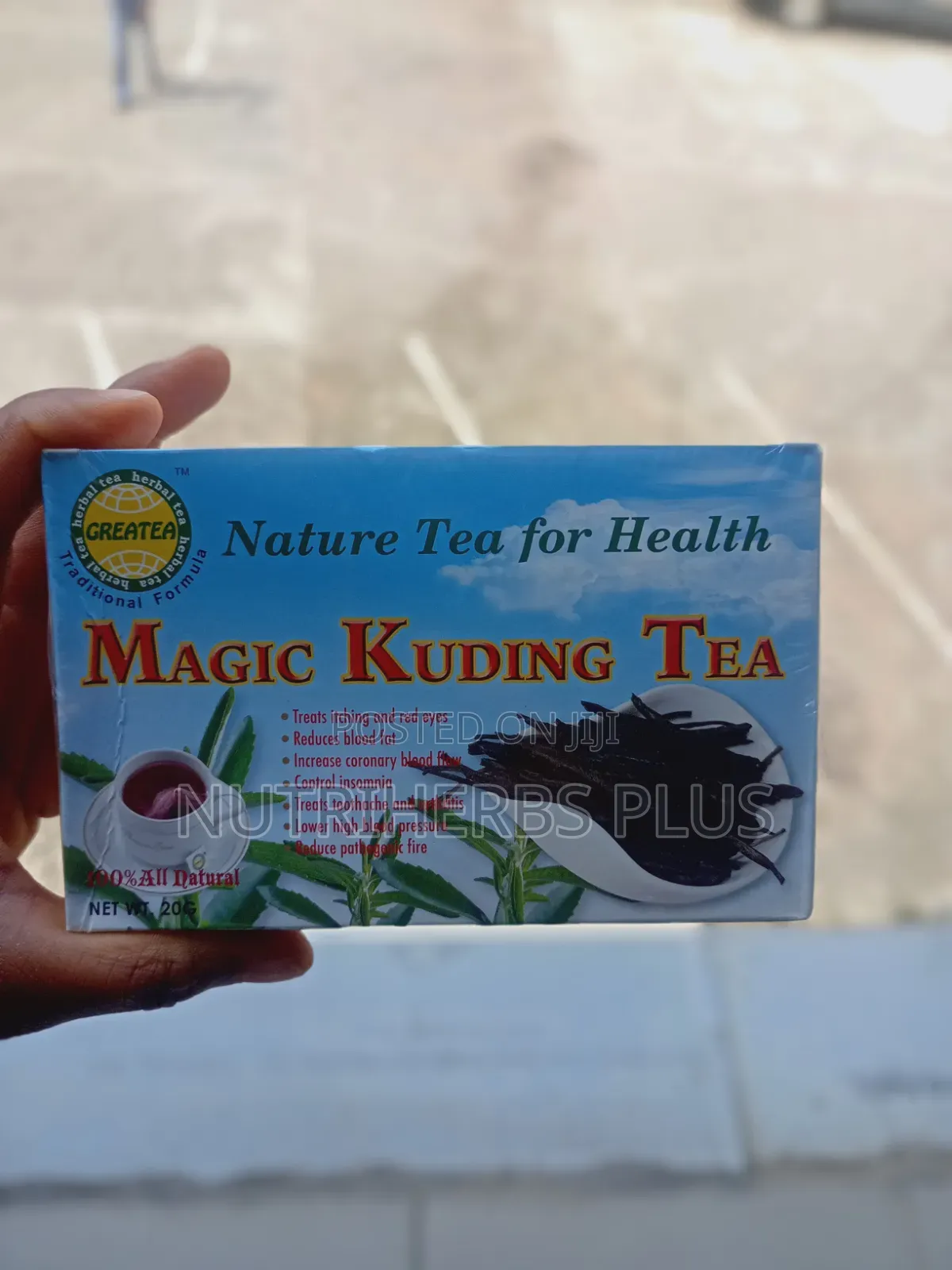 Magic Kuding Tea(it Regulates Blood Sugar Levels)