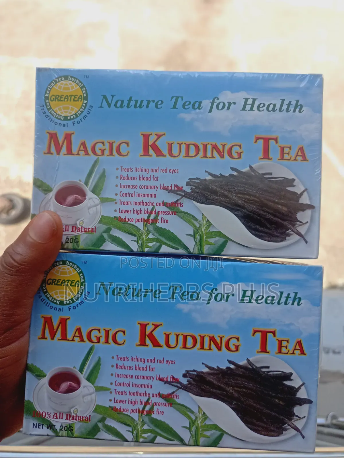 Magic Kuding Tea(it Regulates Blood Sugar Levels)