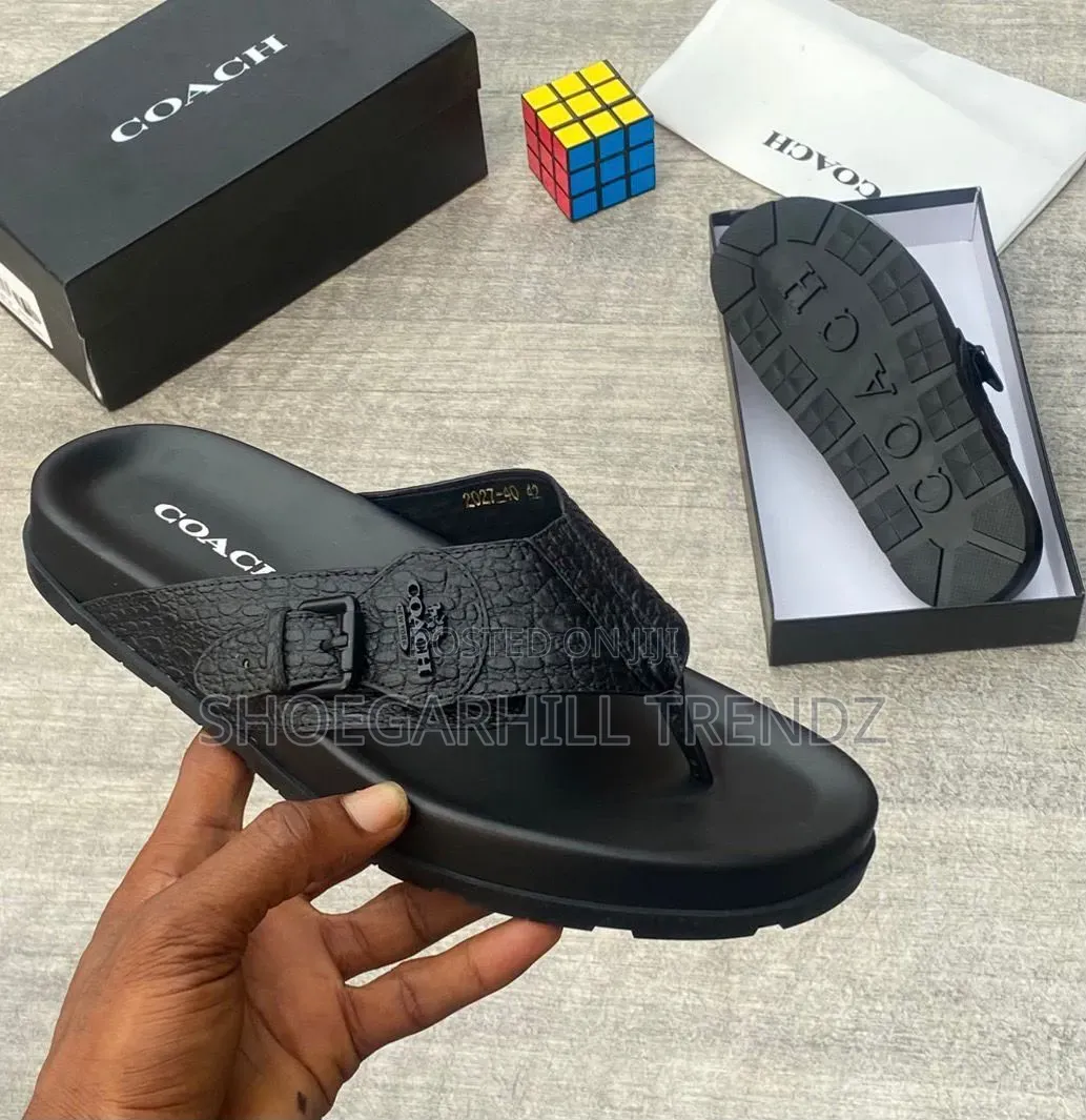Premium Coach Palm Slippers | Modern Comfort in 3 Styles