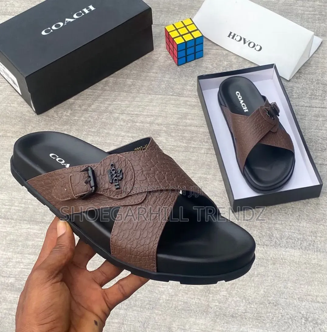 Premium Coach Palm Slippers | Modern Comfort in 3 Styles