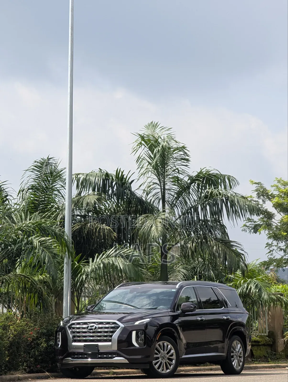 Hyundai Palisade 2019 Purple