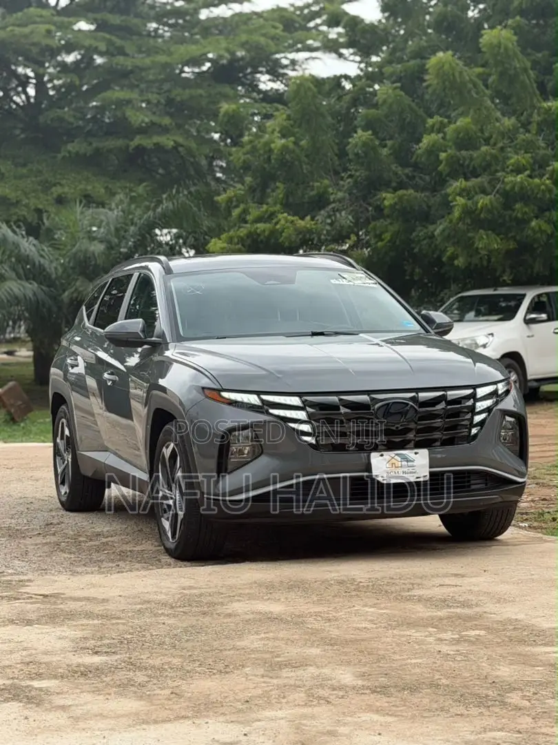 Hyundai Tucson 2023 Gray