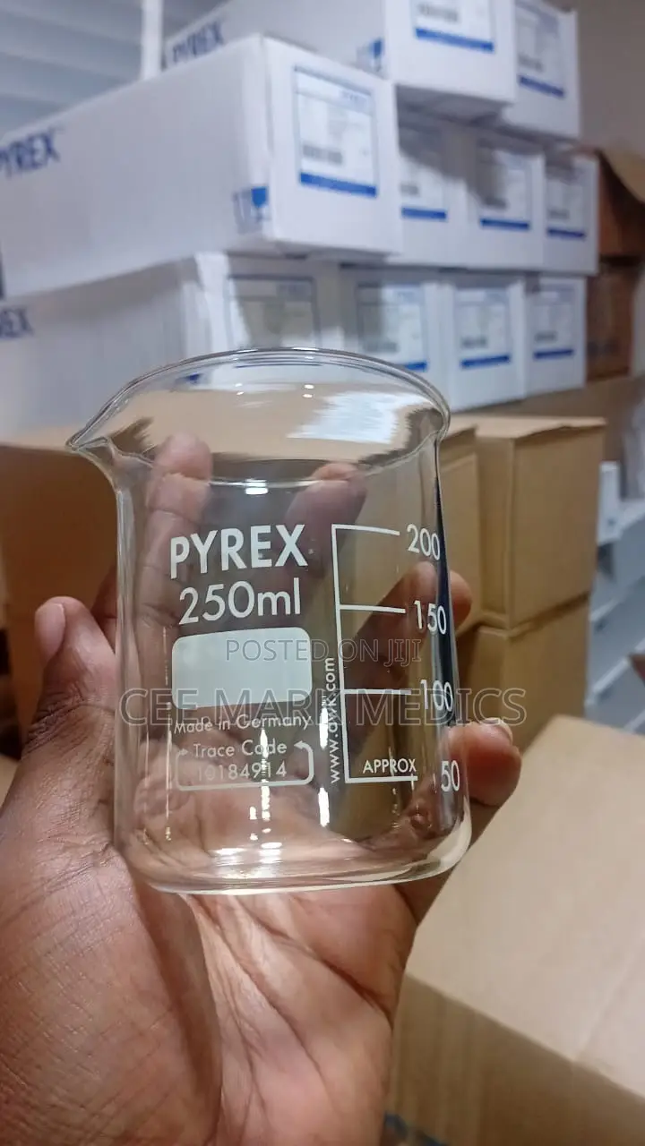 PYREX 250mL Beaker
