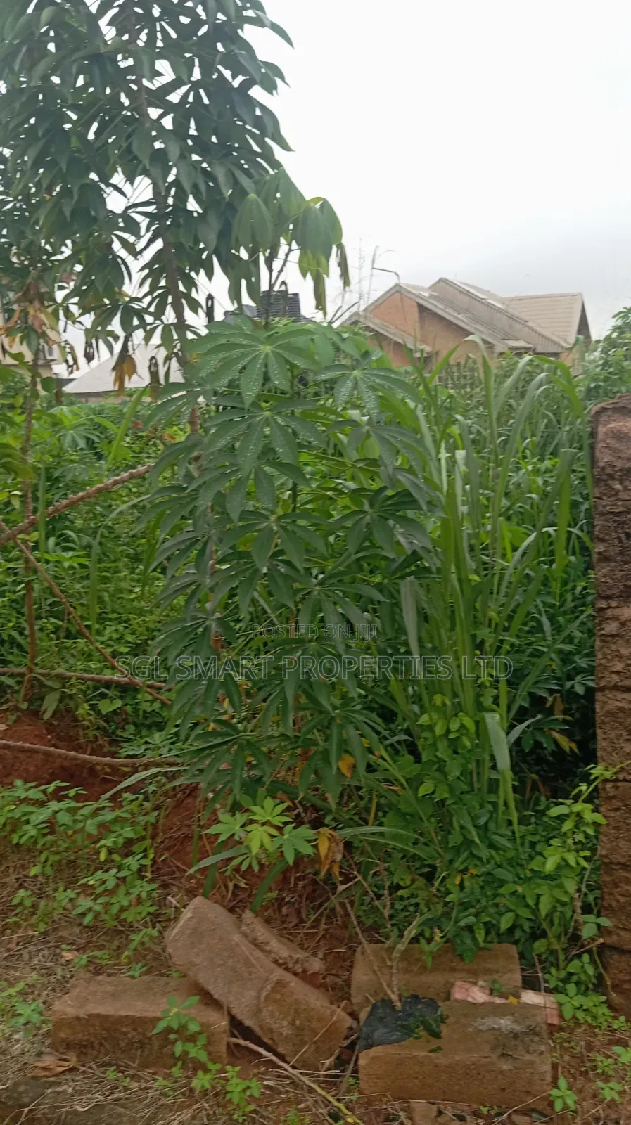 1 Plot of Land for Sale at New Friends Estate